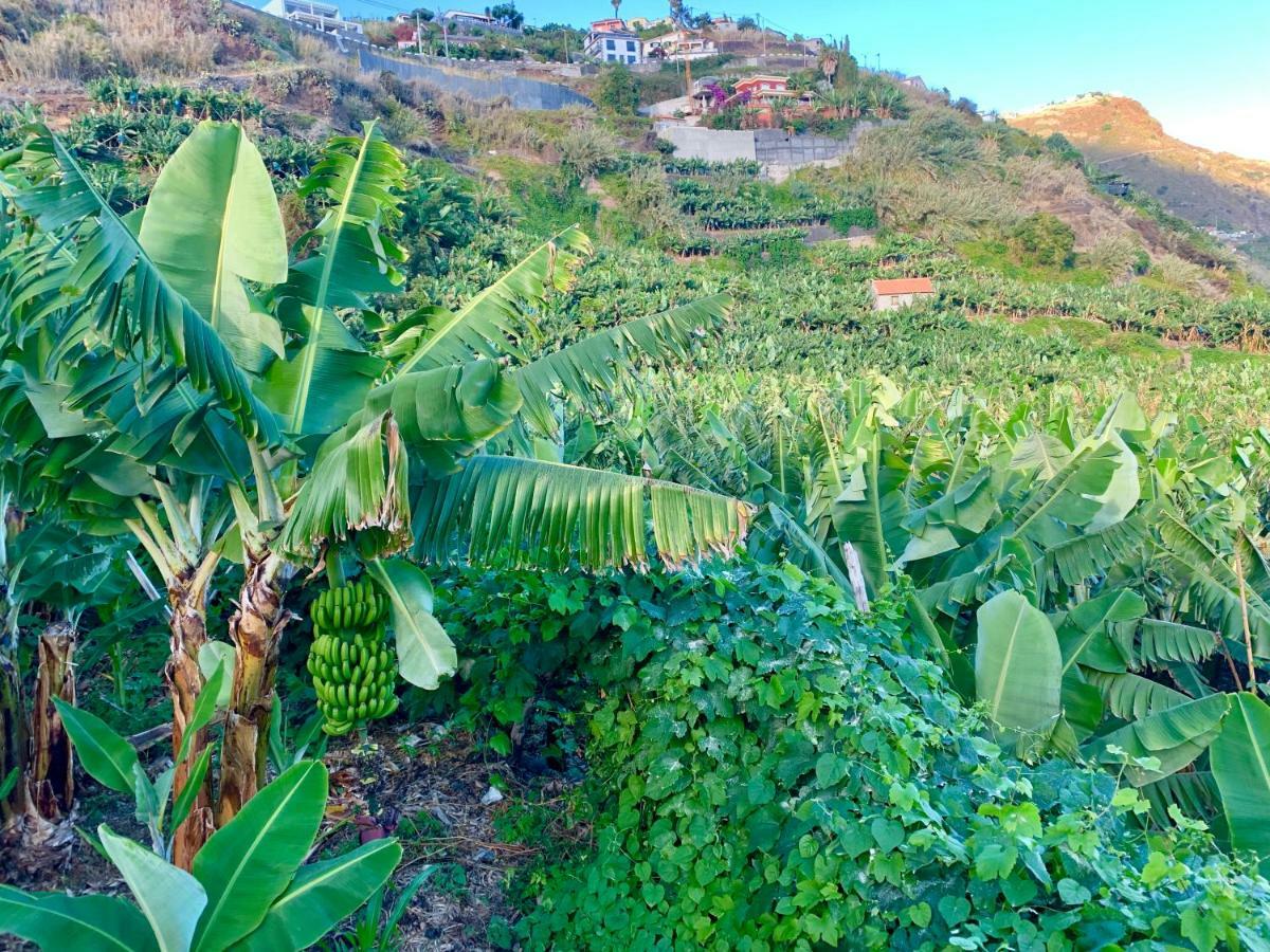 Villa Felicidade Arco da Calheta  Exteriér fotografie